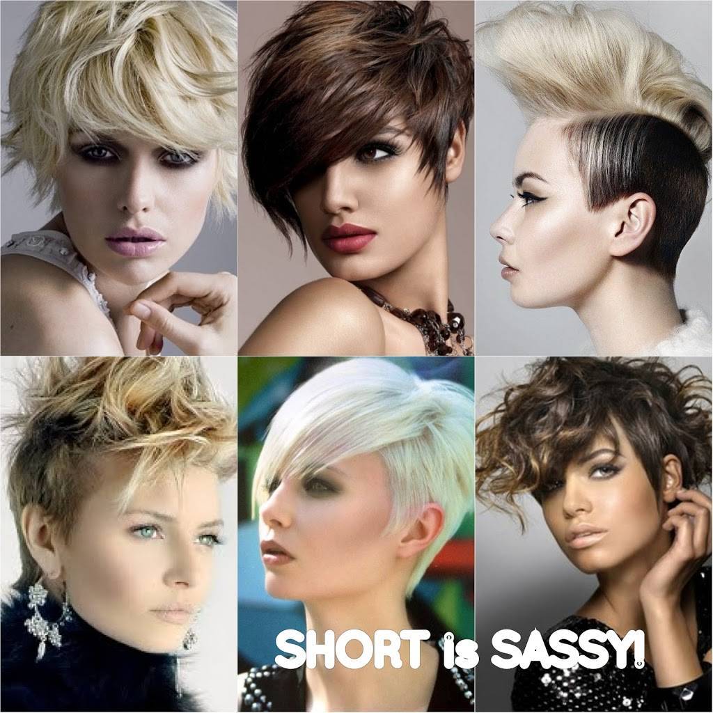 Edallison@elsalon | 777 E Virginia Ave, Denver, CO 80209, USA | Phone: (303) 399-7175