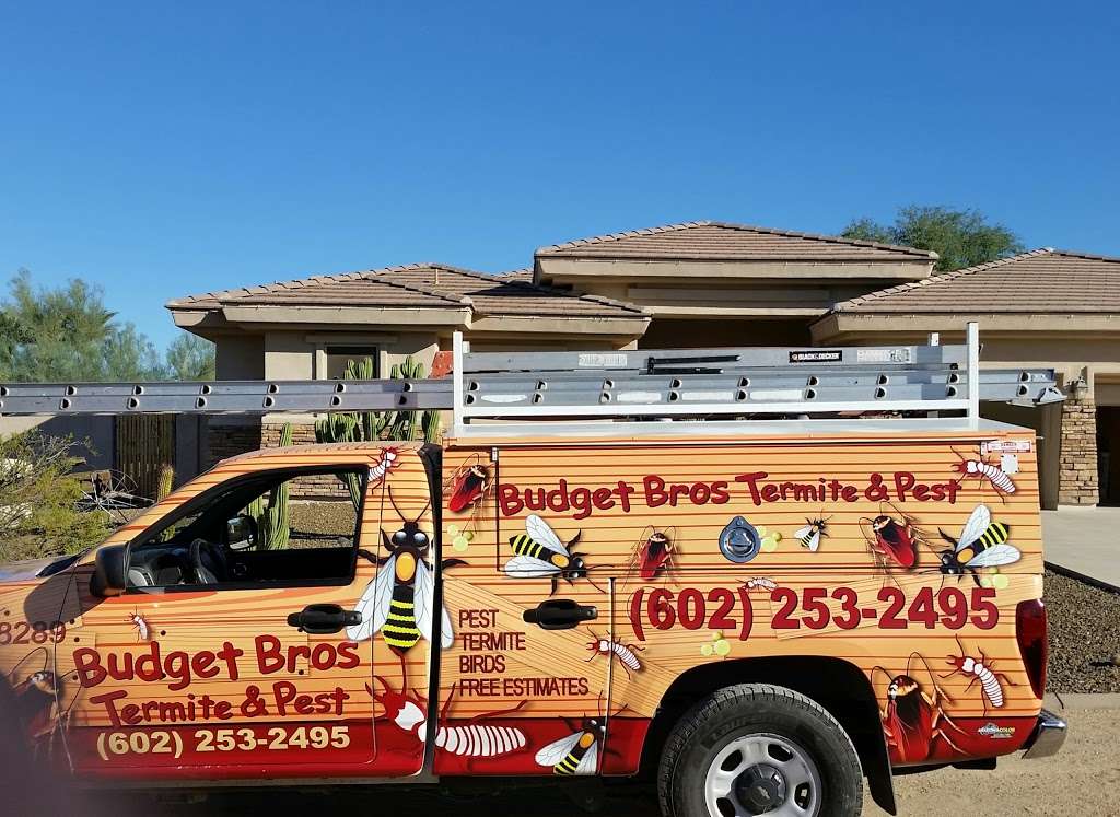 Budget Brothers Termite & Pest | 7401 E Bell Rd, Scottsdale, AZ 85260, USA | Phone: (480) 874-8048
