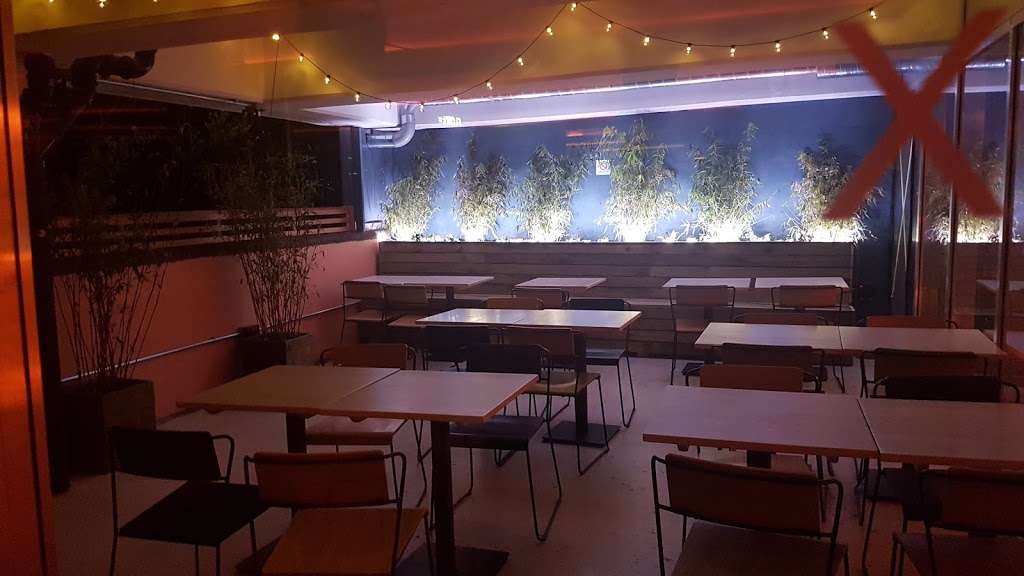 WILDFLOWER | Peckham Levels (Lvl 5, 95a Rye Ln, London SE15 4ST, UK | Phone: 020 3735 3775