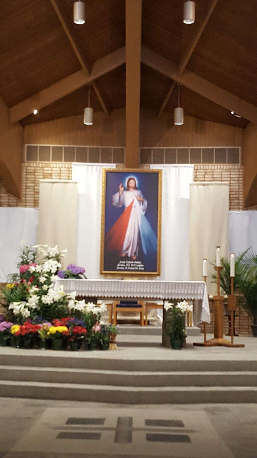 Transfiguration Catholic Church | 316 W Mill St, Wauconda, IL 60084, USA | Phone: (847) 526-2400