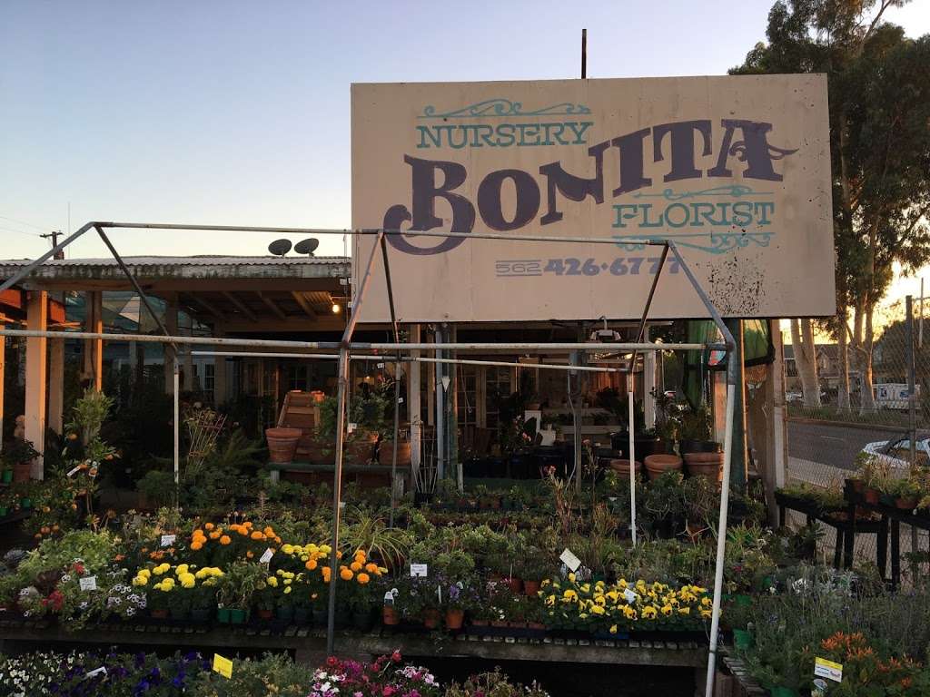 Bonita Nursery & Florists | 3510 Santa Fe Ave, Long Beach, CA 90810 | Phone: (562) 426-6777