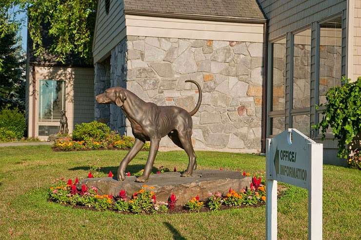 Abbey Glen Pet Memorial Park - Pet Cemetery & Crematory | 187 NJ-94, Lafayette Township, NJ 07848, USA | Phone: (800) 972-3118