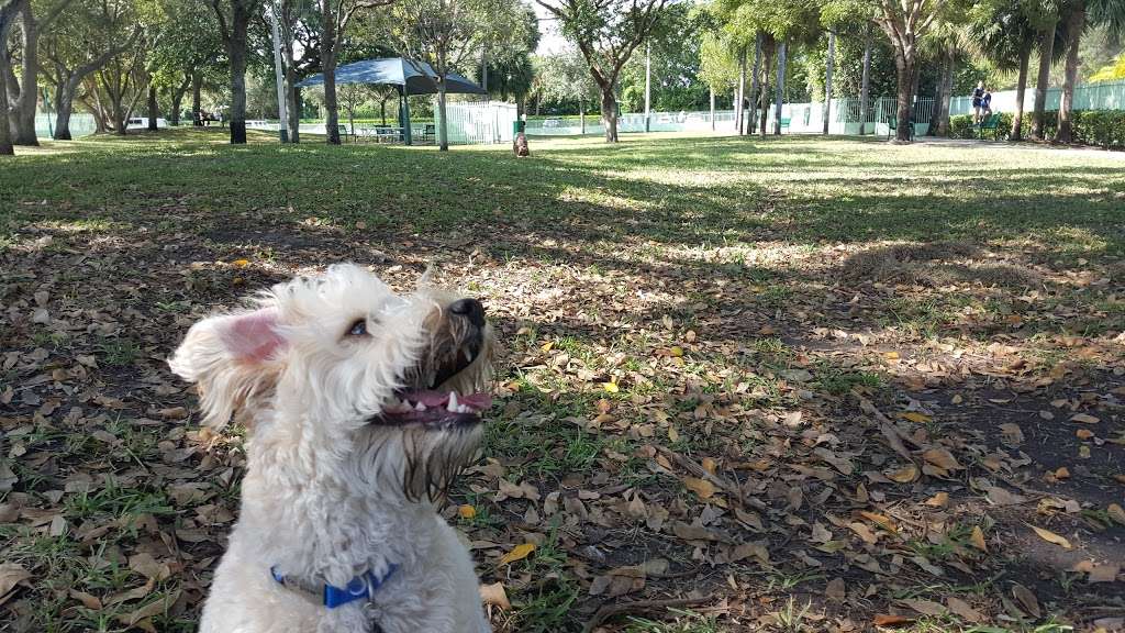 Waterways Dog Park | 3401 NE 213th St, Aventura, FL 33180, USA | Phone: (305) 466-8008