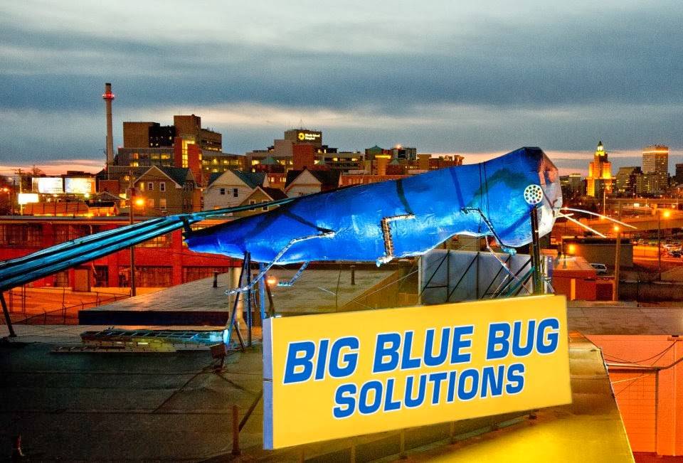 Big Blue Bug Solutions | 161 OConnell St, Providence, RI 02905 | Phone: (401) 941-5700