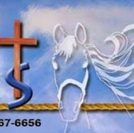 Heavenly Horses | 7406 Tryon Grove Rd, Richmond, IL 60071, USA | Phone: (847) 867-6656