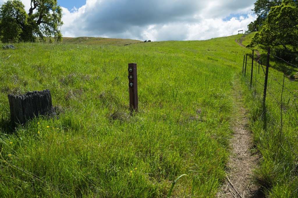 Eagles Eyrie Backpack Camp | Sunol, CA 94586, USA