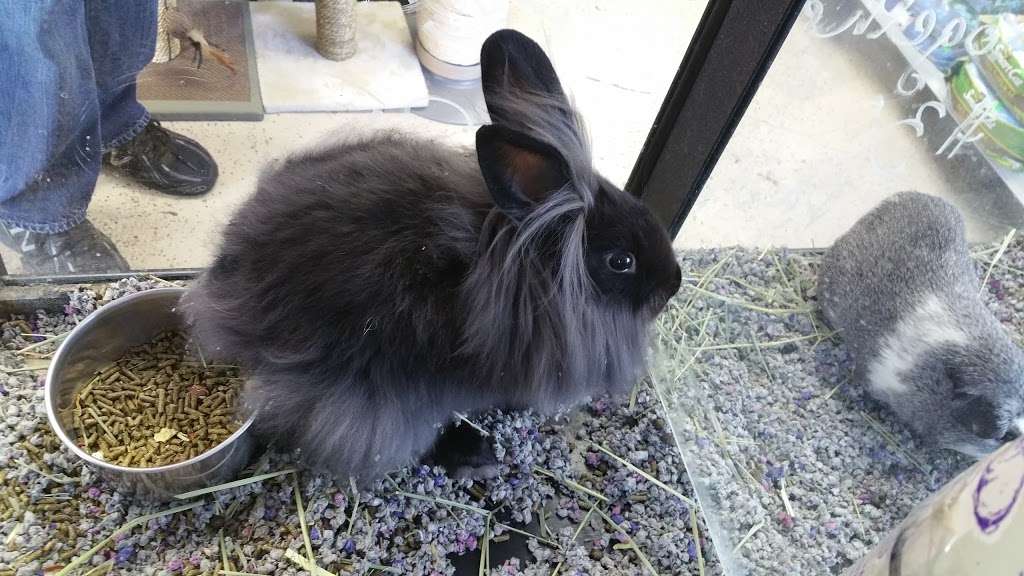The Grooming Place Pet Shop | 1713 Main St, Chester, MD 21619, USA | Phone: (410) 643-8760