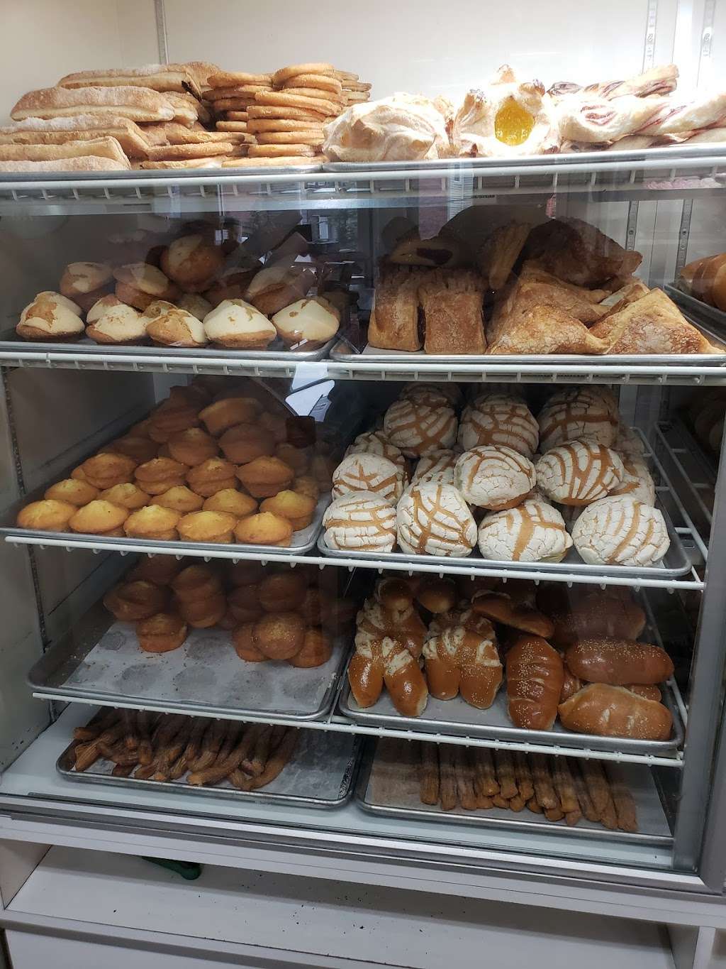 Lollys Bakery | 158 Bennington St, East Boston, MA 02128 | Phone: (617) 567-9461