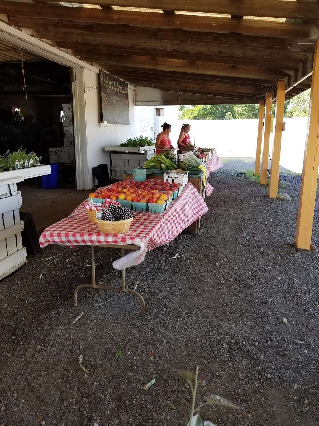 Moores Farm Market | 324 Pointers Auburn Rd, Mannington Township, NJ 08079