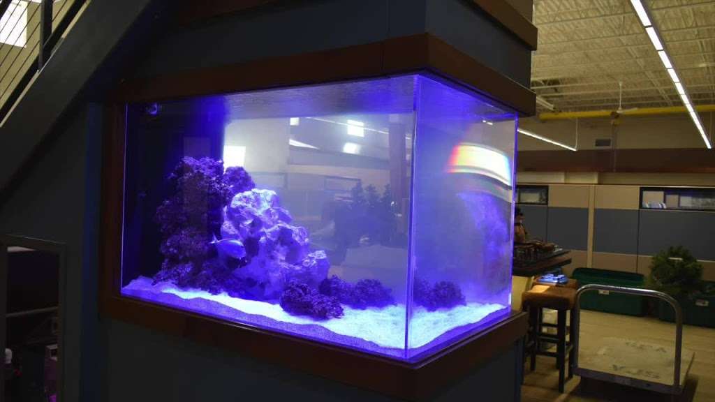 Aquatic Realmz Aquarium Maintenance & Design | 3550 S 108th St Suit B, Greenfield, WI 53228, USA | Phone: (414) 800-5825