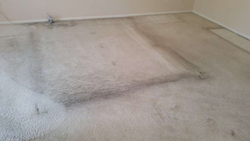 Qualitymaster Carpet Care | 11925 W Thunderbird Rd #2092, El Mirage, AZ 85335, USA | Phone: (602) 505-4091