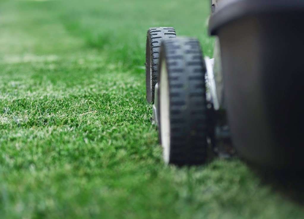 LD Lawncare | 4126 Glacier Pl, Quartz Hill, CA 93536, USA | Phone: (661) 674-9774