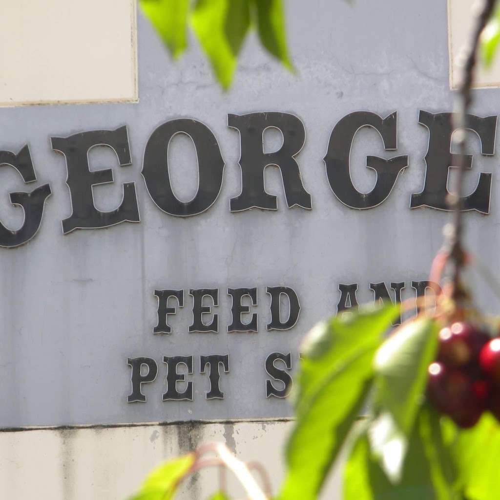 Georges Feed & Pet Supply | 1530 Humphrey Dr, Suisun City, CA 94585, USA | Phone: (707) 425-9642 Georges Feed & Pet Supply | 1530 Humphrey Dr, Suisun City, CA 94585, USA | Phone: (707) 425-9642