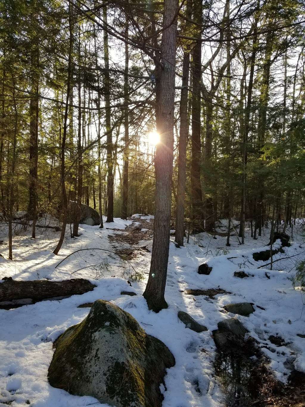 Cider Mill Pond Trailhead | 03033, Brookline, NH 03033, USA