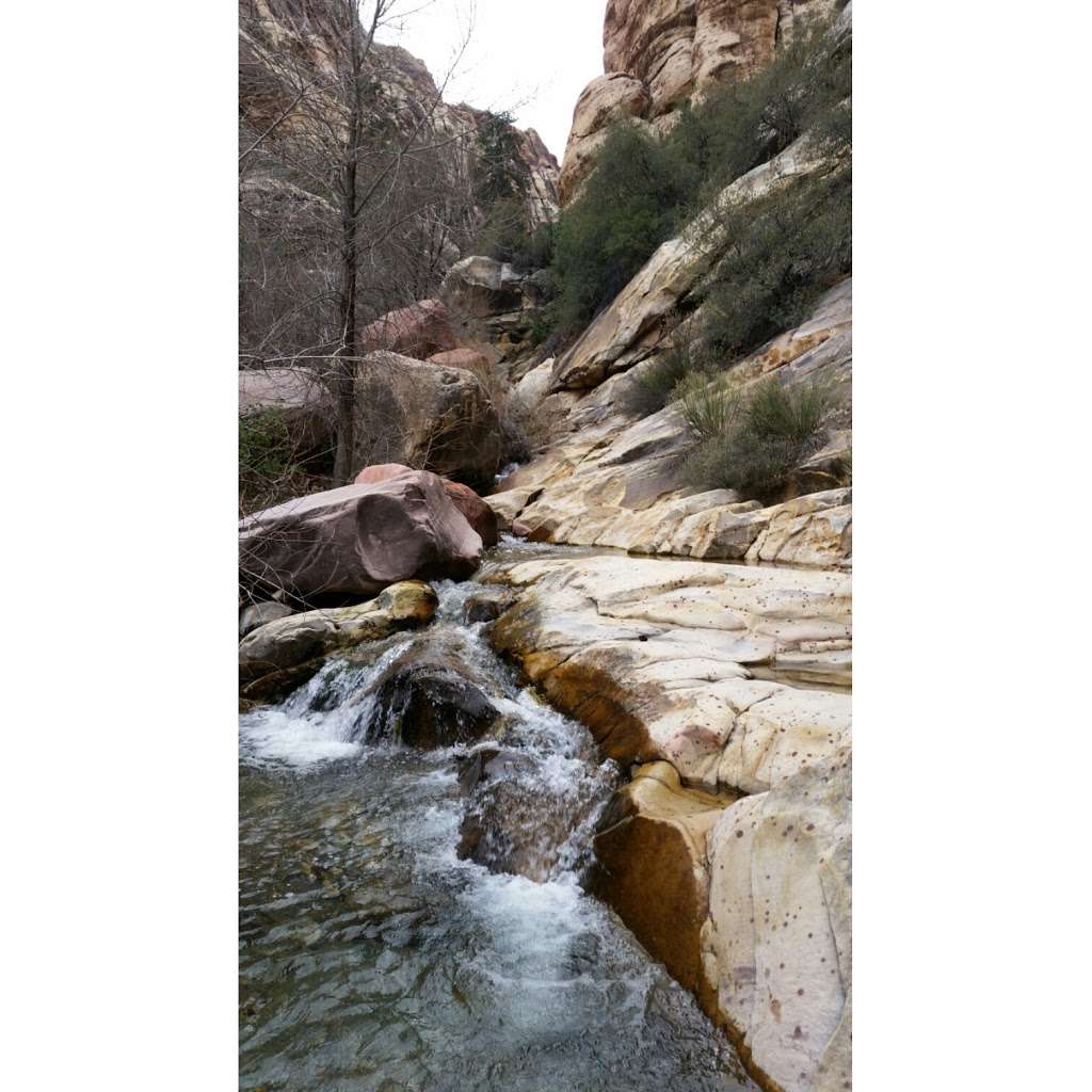 Pine Creek Trailhead | Pine Creek, Las Vegas, NV 89161, USA