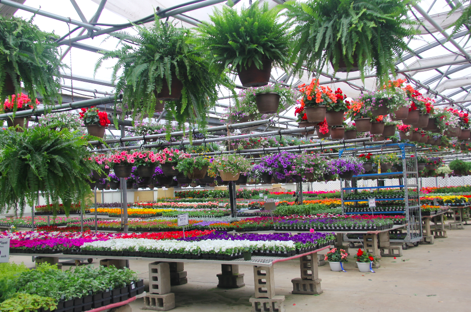 Leider Greenhouses & Garden Center | 1625 Leider Ln, Buffalo Grove, IL 60089, USA | Phone: (847) 634-4060