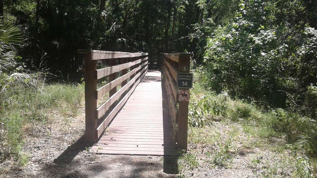 Black Bear Wilderness Area | 5301 Michigan Ave, Sanford, FL 32771 | Phone: (407) 665-0000