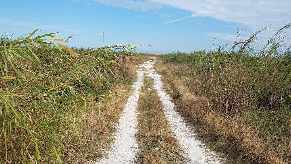 Stormwater Public Access Wildlife Observation Center | Florida, USA