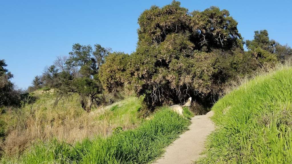 Taylor Trail Wilderness & Open Space Area | Stevenson Ranch, CA 91381, USA