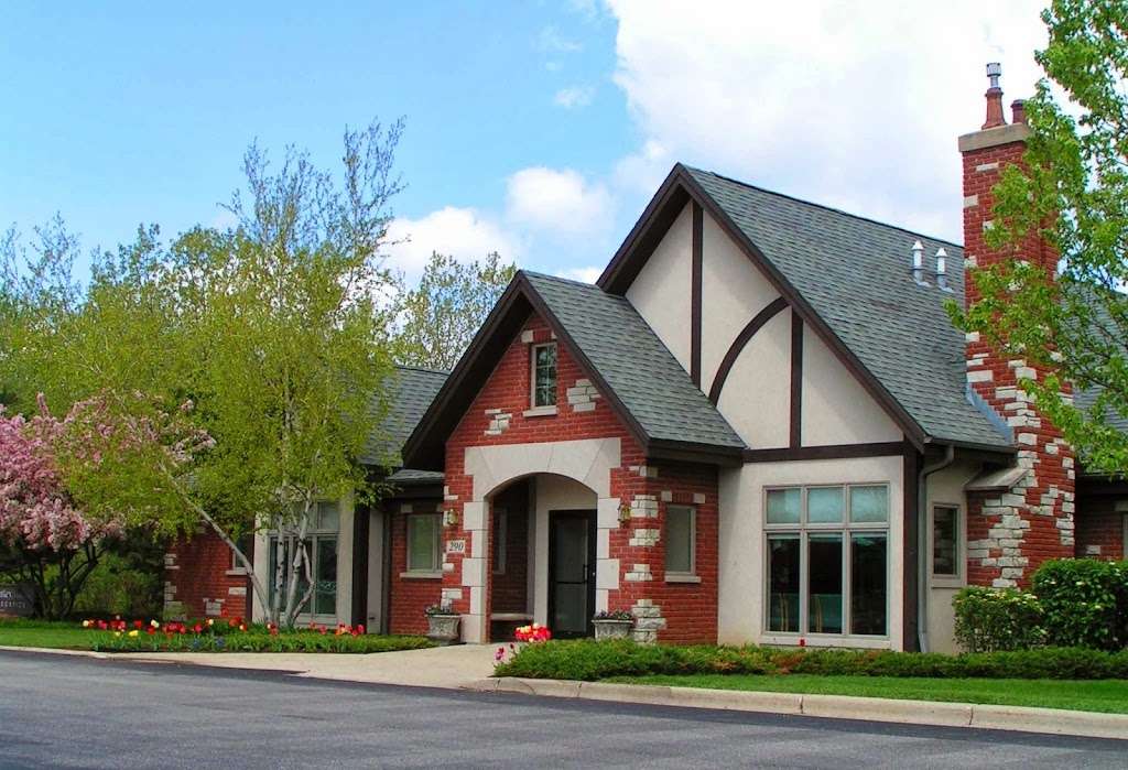 Paul S Burkey, DDS, MS, PC, Orthodontic Specialist | 290 Center Dr, Vernon Hills, IL 60061, USA | Phone: (847) 367-1640