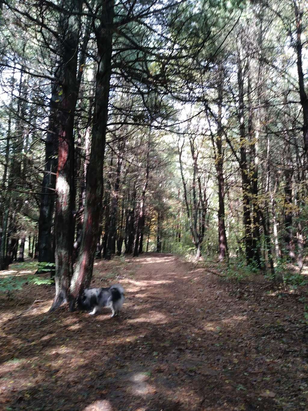 Rockland Town Forest and Conservation Land | North Ave, Rockland, MA 02370 | Phone: (781) 871-0579