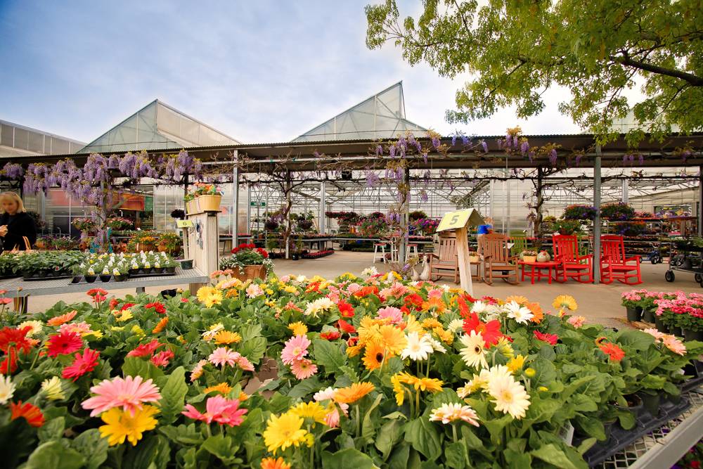 Southwood Landscape and Garden Center | 9025 S Lewis Ave, Tulsa, OK 74137, USA | Phone: (918) 299-9409