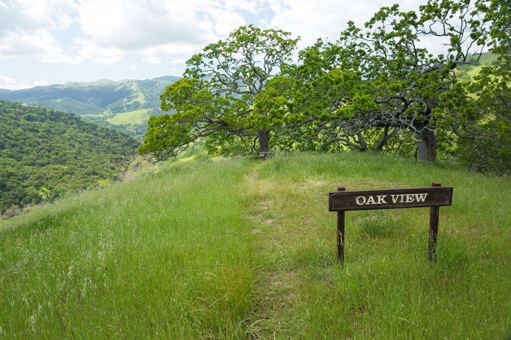 Oak View Backpack Camp | Sunol, CA 94586, USA