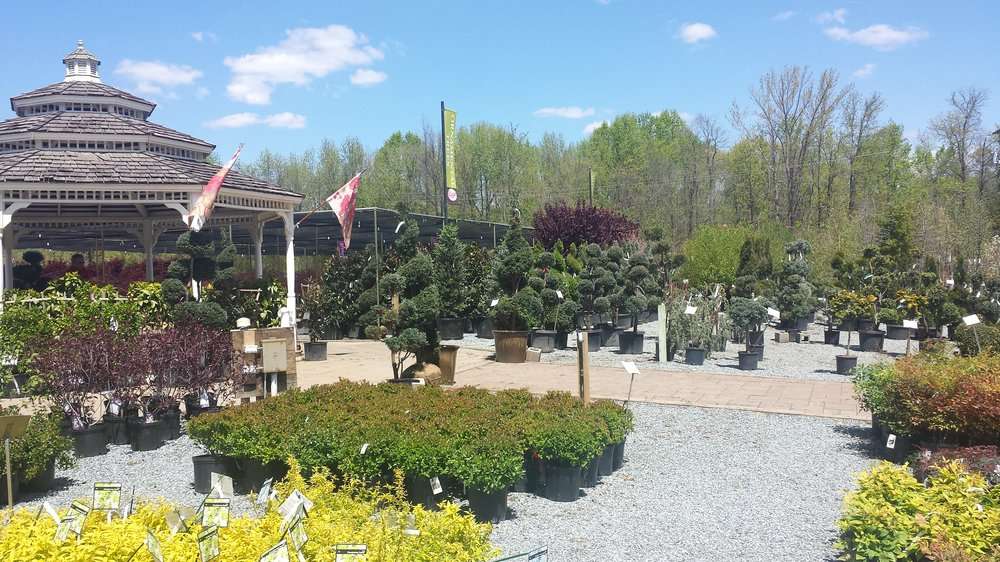 Patuxent Nursery | 2410 North Crain Highway, Bowie, MD 20716 | Phone: (301) 218-4769