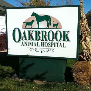 Oakbrook Animal Hospital | 500 W Main St, Gardner, KS 66030, USA | Phone: (913) 884-8778