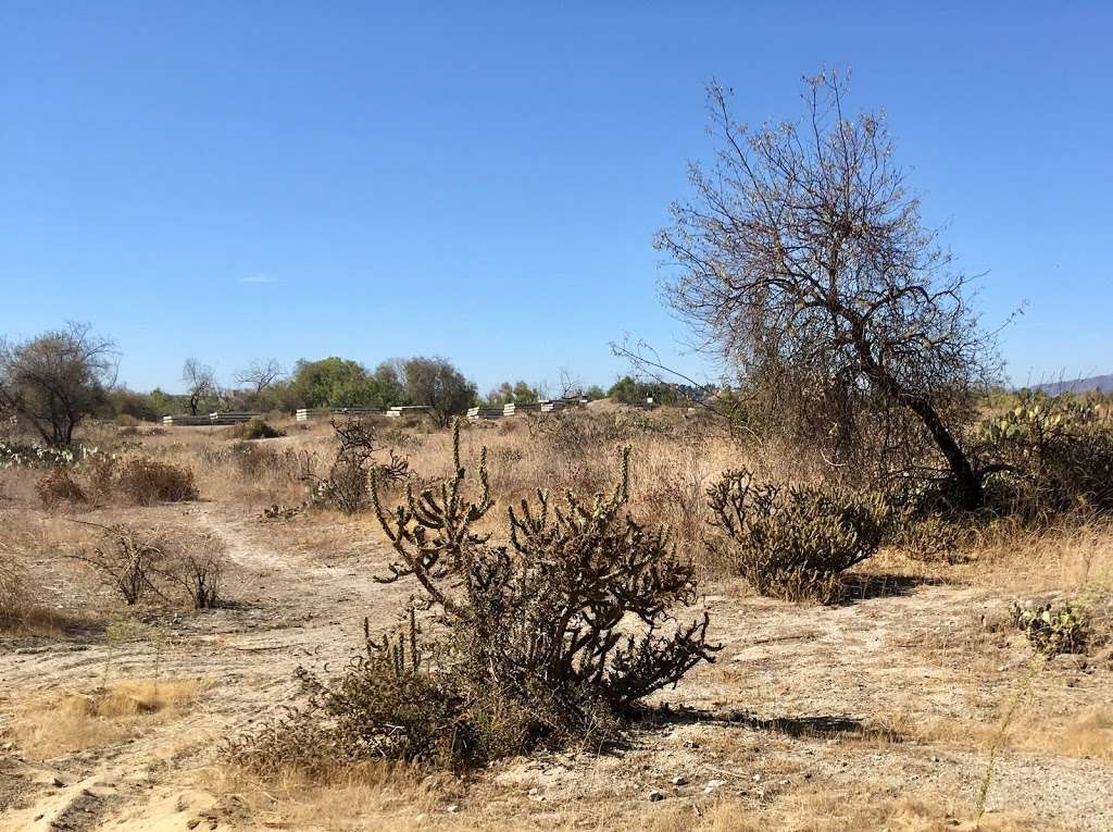 Hansen Dam | Unnamed Road, Lake View Terrace, CA 91342, USA