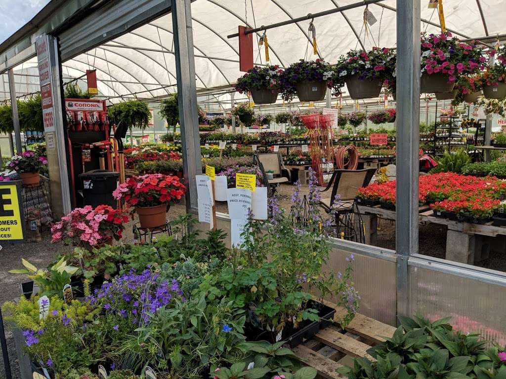 Meadows Farms Nurseries & Landscaping | 5074 Lee Hwy, Warrenton, VA 20187 | Phone: (540) 341-0020