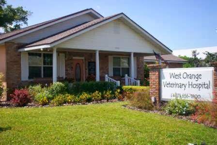 West Orange Veterinary Hospital | 1350 Winter Garden Vineland Rd, Winter Garden, FL 34787, USA | Phone: (407) 656-1800