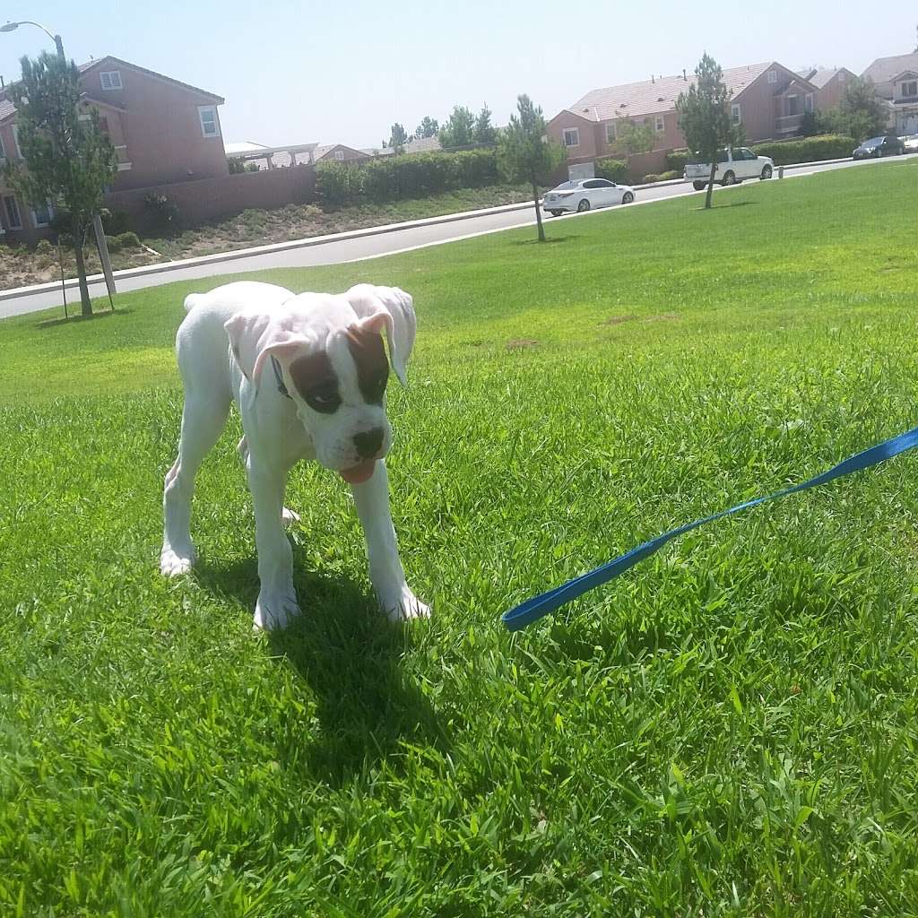 Tom Minor Park | San Bernardino, CA 92407, USA