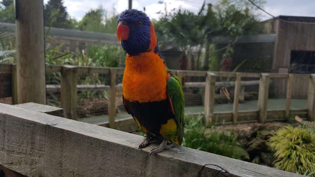 Lorikeet Lagoon | Chessington KT9 2NE, UK