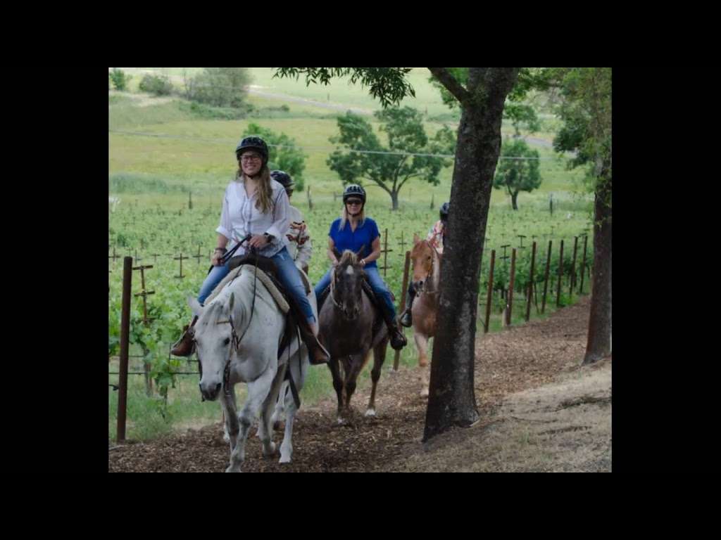 Napa Valley Trail Rides | 100 Rapp Ln, Napa, CA 94558, USA | Phone: (707) 255-5661