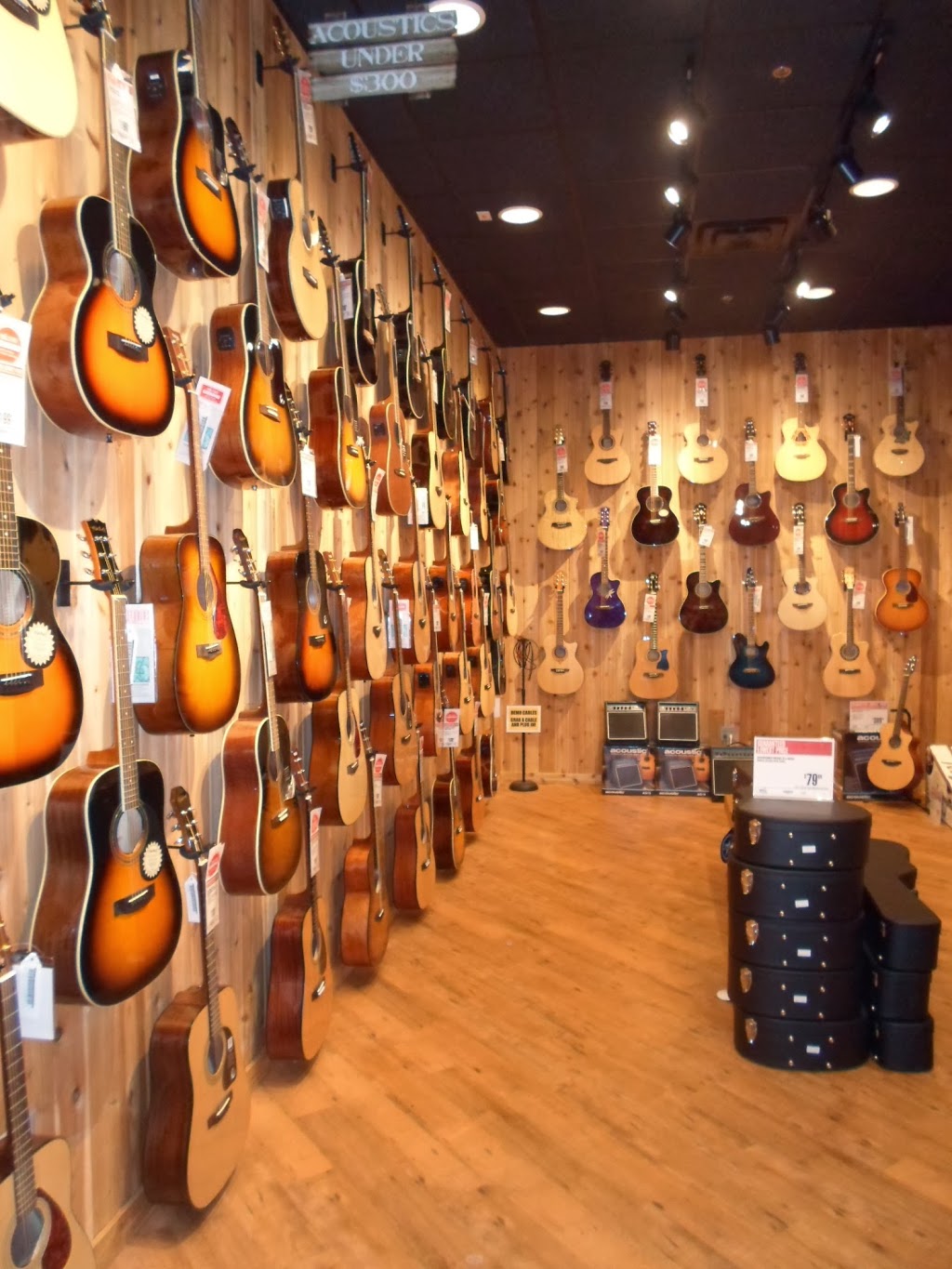 Guitar Center | 8813 JW Clay Blvd Suite A, Charlotte, NC 28262, USA | Phone: (704) 547-1613