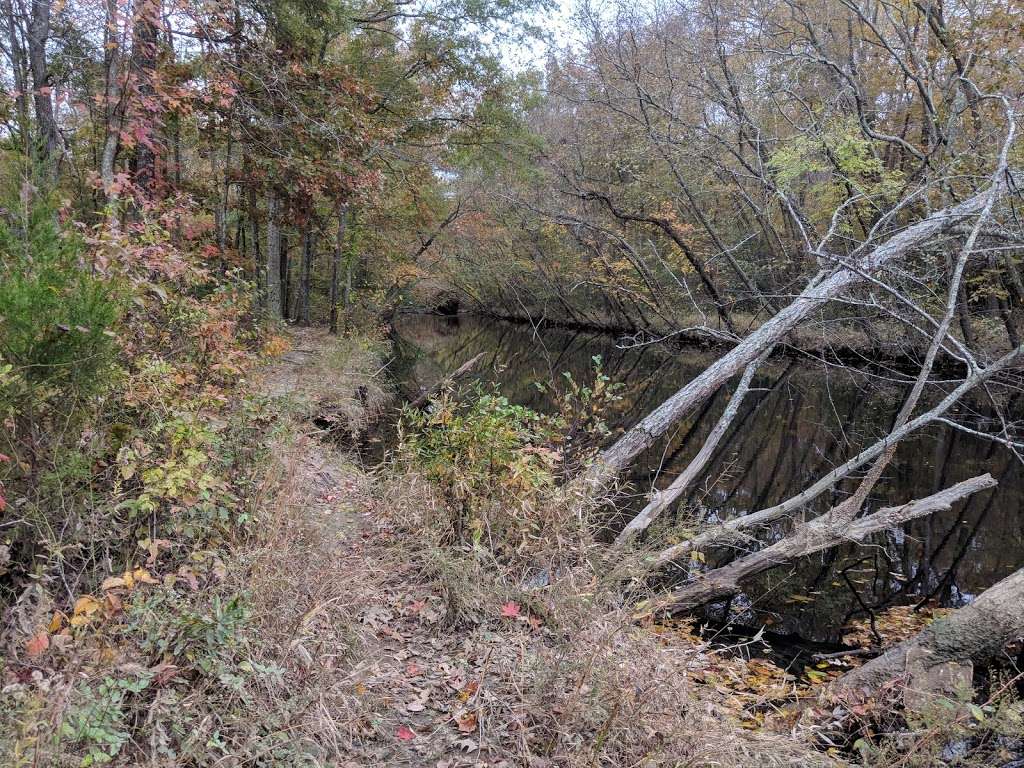 Mason Springs Conservancy Kayak Launch | 7, Pomonkey, MD 20640, USA | Phone: (410) 260-8880