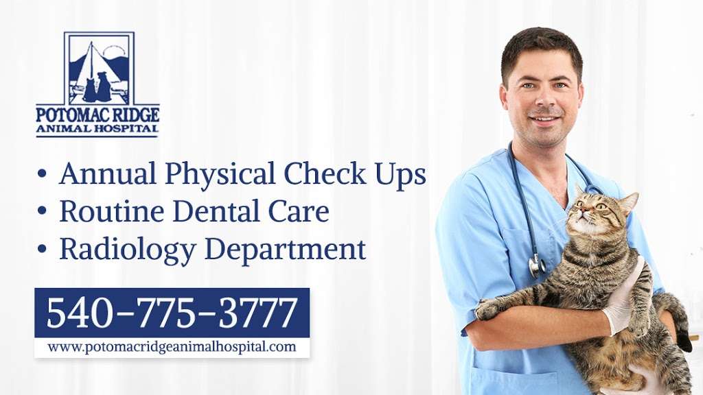 Potomac Ridge Animal Hospital | 13414 Ridge Rd, King George, VA 22485 | Phone: (540) 775-3777