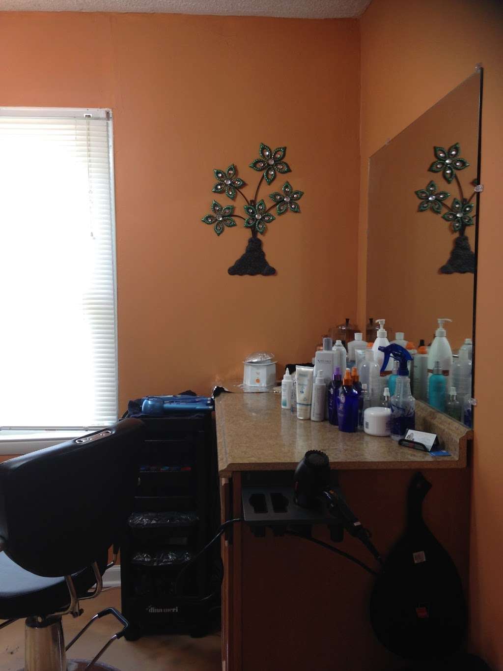 Dominican Hair Stylist -Zoila- | Eastbrook Rd, Charlotte, NC 28215, USA | Phone: (704) 777-6673