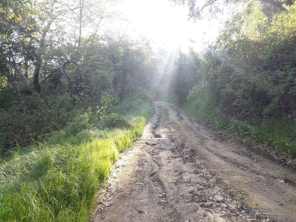 Whittier Turnbull Canyon Hiking Trail | Turnbull Canyon Rd, Whittier, CA 90601 | Phone: (562) 945-9003