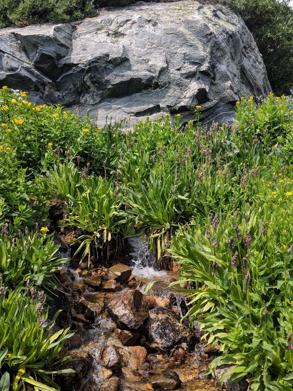 Loch Lomond Trail | Loche, Lommond Hike, Idaho Springs, CO 80452, USA