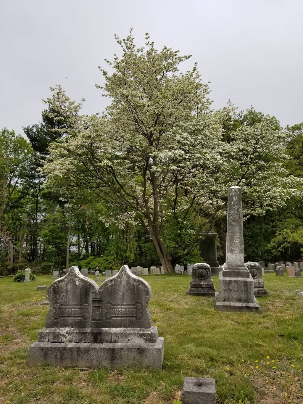 Evergreen Cemetery | 2060 Commonwealth Avenue, Brighton, MA 02135, USA | Phone: (617) 635-7359