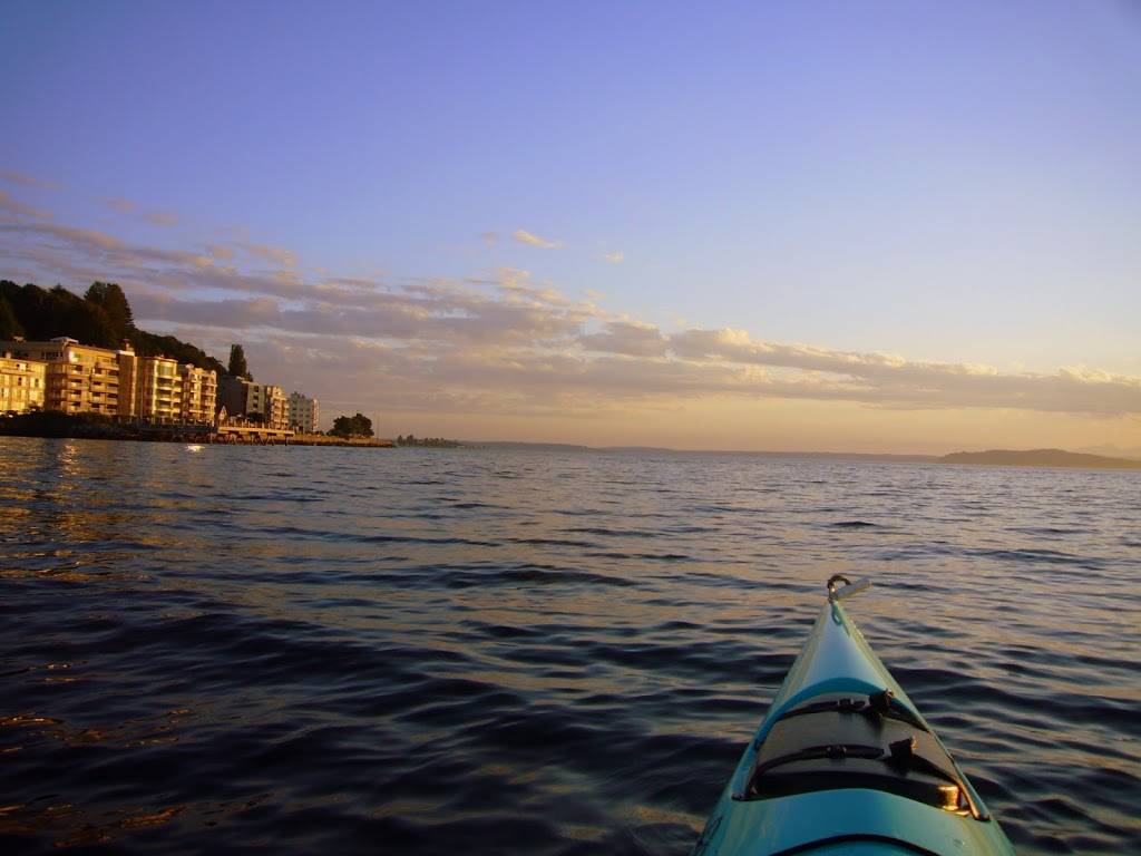 Alki Kayak Tours | 1660 Harbor Ave SW, Seattle, WA 98126 | Phone: (206) 953-0237