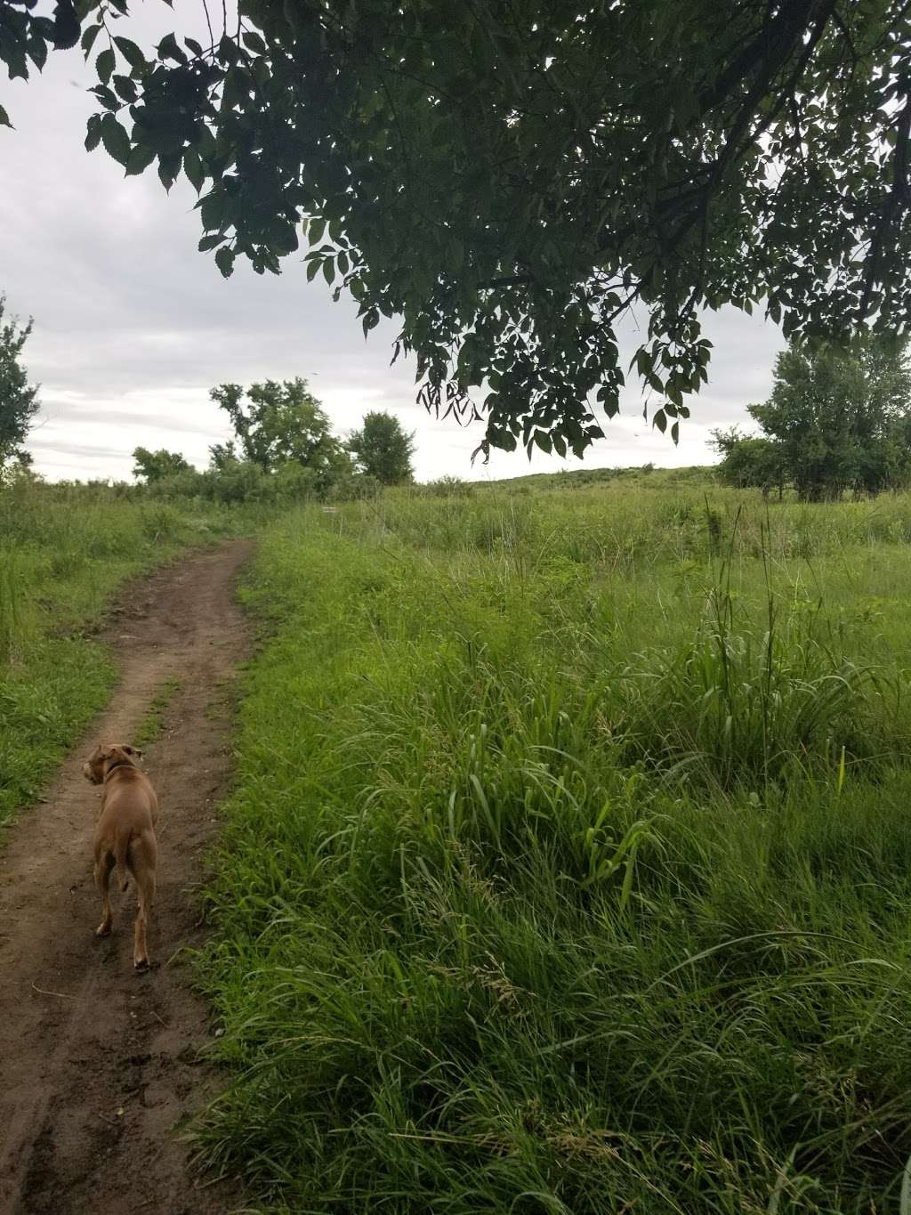 Clinton Lake Trail | Lawrence, KS 66049, USA