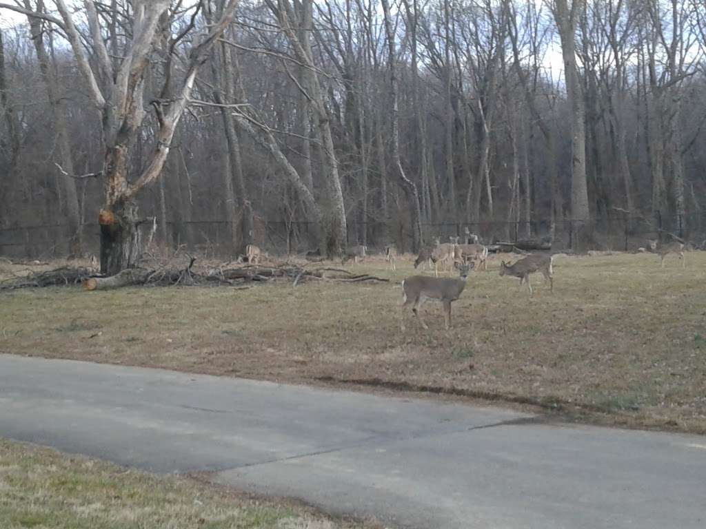 Ardsley Cemetery | 2211 Jenkintown Rd, Glenside, PA 19038, USA