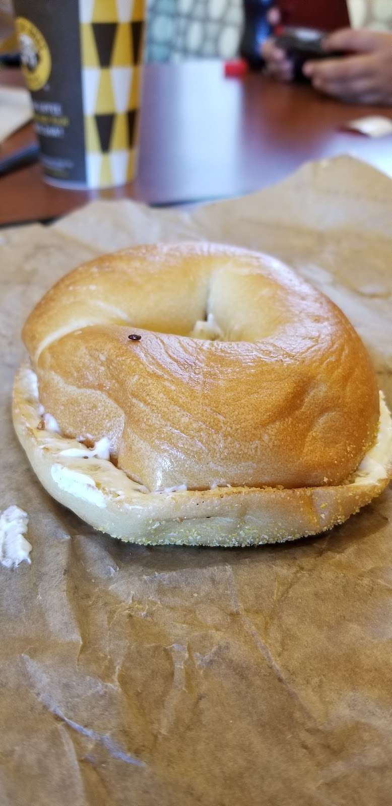 Einstein Bros. Bagels | 3675 Murphy Canyon Rd Ste 104, San Diego, CA 92123, USA | Phone: (858) 569-6944