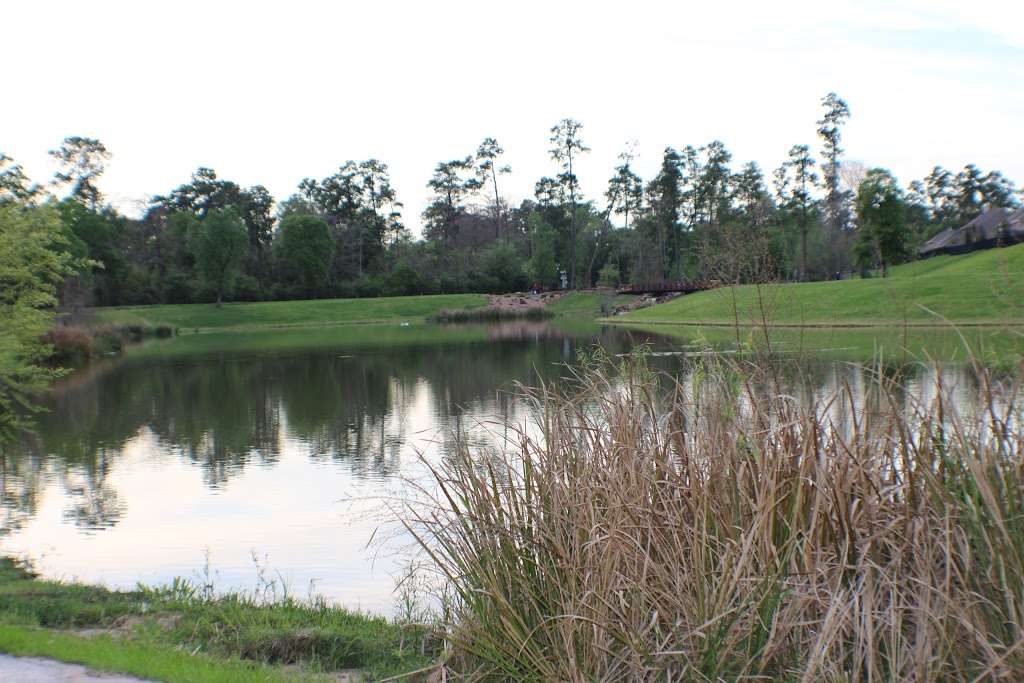 Forest Oaks Park | Texas, USA