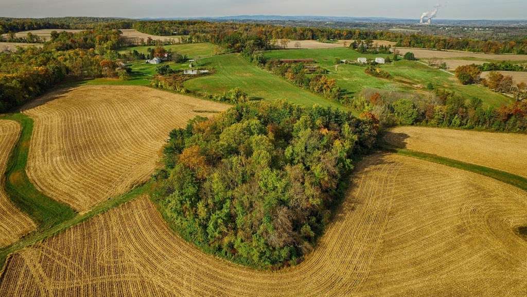 Natural Lands Bryn Coed Preserve | Flint Rd, Chester Springs, PA 19460 | Phone: (610) 353-5587