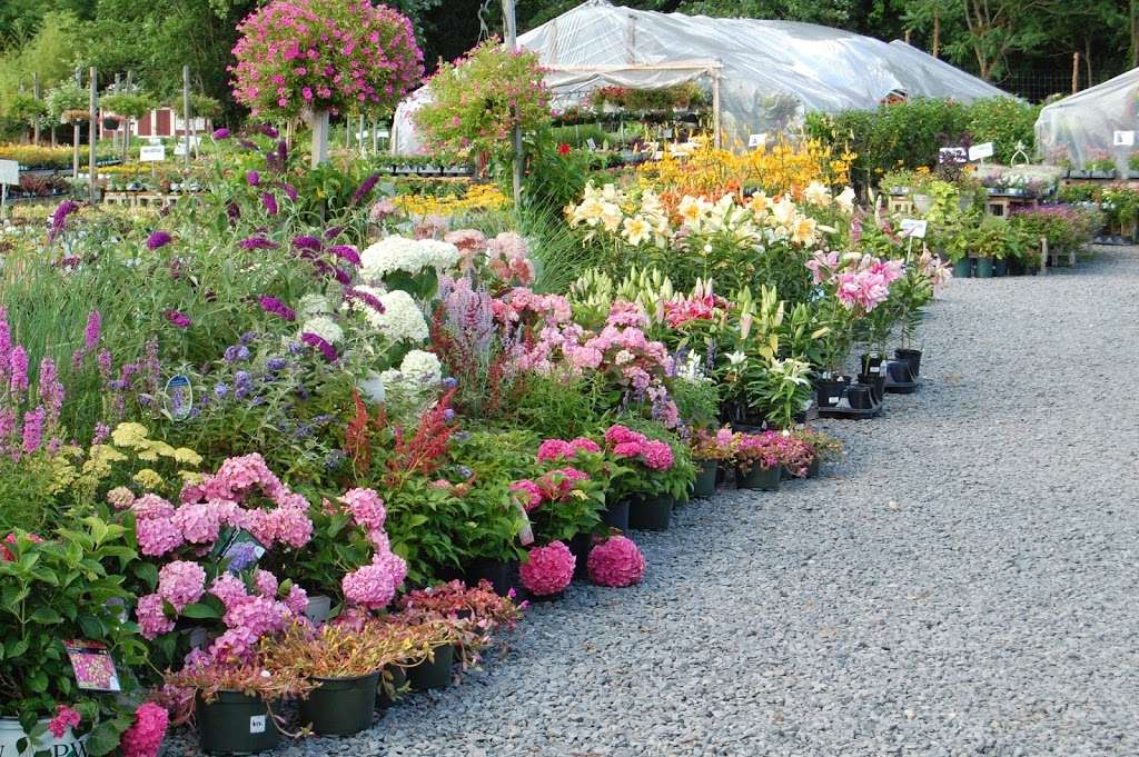 Bountiful Gardens | 135 US-206, Hillsborough Township, NJ 08844, USA | Phone: (908) 526-5500