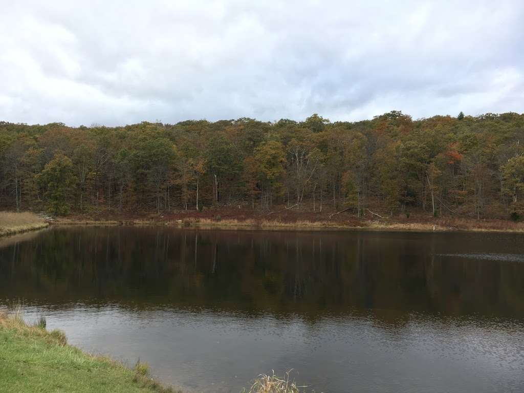 Blue Mountsin Lakes Parking Lot | Sandyston, NJ 07851, USA